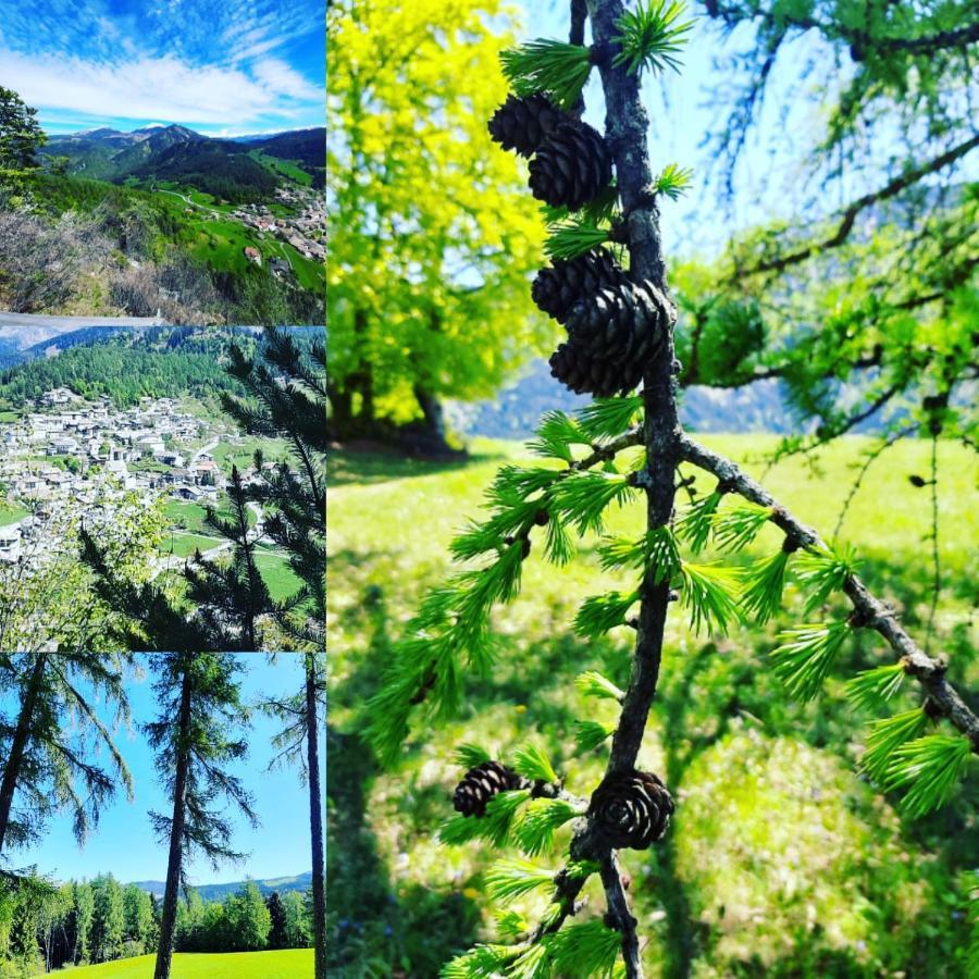 Hotel Trudnerhof Im Naturpark Trudnerhorn Trodena Eksteriør billede